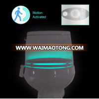 Sales Excellent led toilet night light with motion sensor lamp